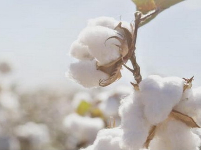 1488352720251187c8xG.jpg 8d574836fba4ea32b52303b48267e582_副本.jpg